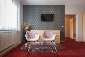 Hotel Łabędy - Studio