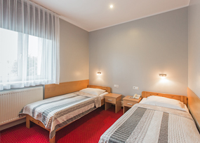 Hotel Łabędy - Standard room